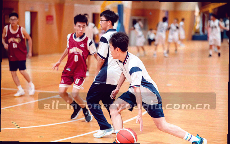 射门轨迹数据可视化图表